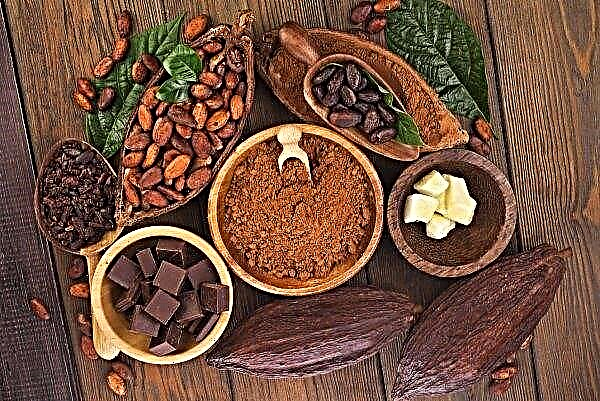 Kupující kakaa souhlasí s minimální cenou, kterou nabízejí Ghana a Pobřeží slonoviny