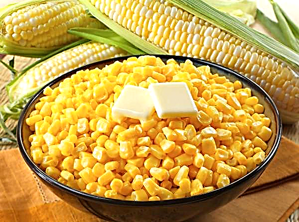La empresa ucraniana "Agro-S" aumentó la capacidad de almacenamiento y secado del maíz.