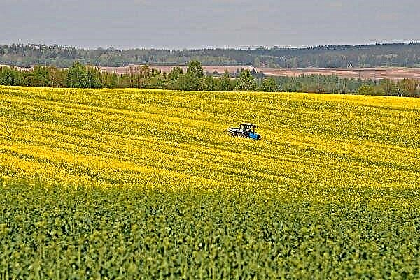 Ukrajinski kmetje bodo lahko načrtovali pridelke s pomočjo satelitov EOS Crop Monitoring