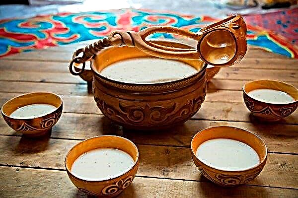 افتتاح مصنع لتصنيع حليب الفرس في كازاخستان