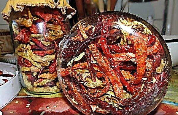 Kako sušiti pekočo papriko doma: metode, navodila po korakih