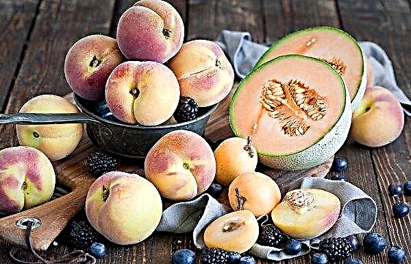 Die Ukrainer sind angenehm überrascht von den Preisen der ersten importierten Aprikosen, Pfirsiche und Nektarinen