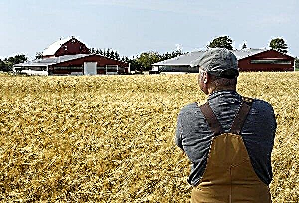 En la región de Poltava, los estafadores expuestos se benefician de los agricultores