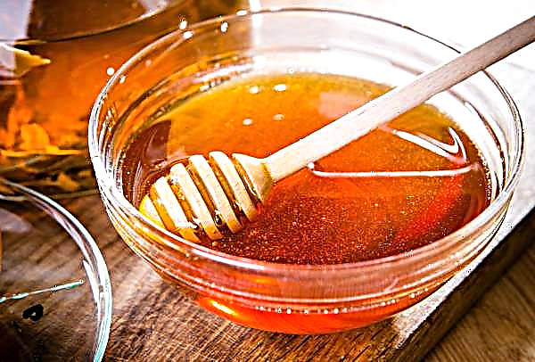 Die Honigproduktion in der Region Charkow ging um 50 Prozent zurück