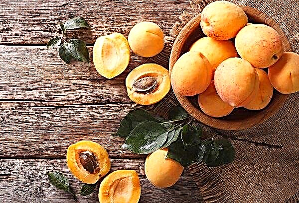 Aprikosen werden auf ukrainischen Märkten immer billiger