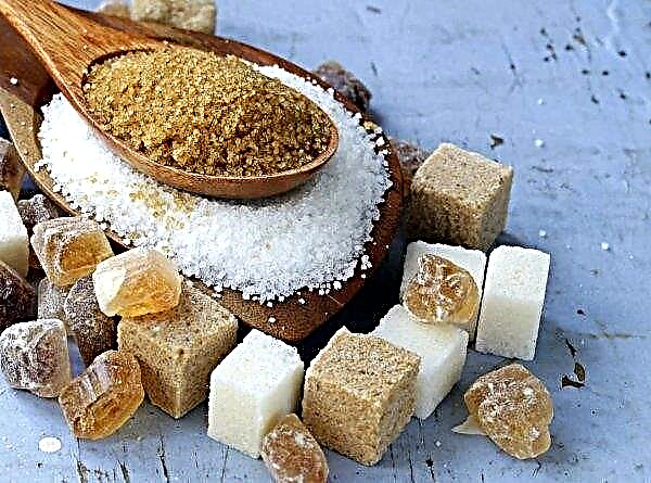 Karachay-Cherkessia bo sladkorno industrijo dvignila na novo raven