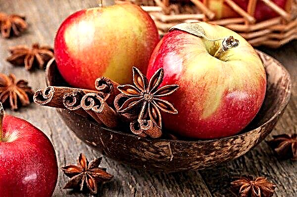 الجدة بجوار الجد: المتقاعدين يجمعون التفاح في فرنسا