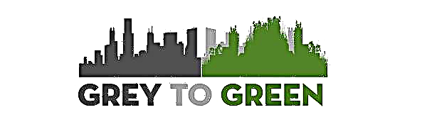 COVID-19 kriisile reageerimiseks pakuvad tervislike linnade rohelised katused 30 protsenti kõikidest professionaalse arengu kursustest