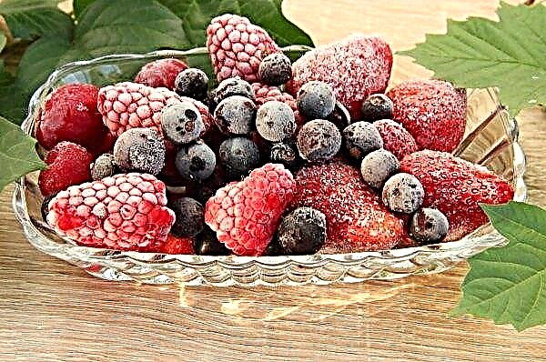 Kiev company "Agrovesna" launches a refrigerator for 200 tons of berries