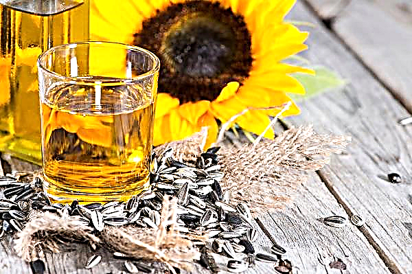 In Turkmenistan, the annual production of sunflower oil will increase by 7.5 thousand tons