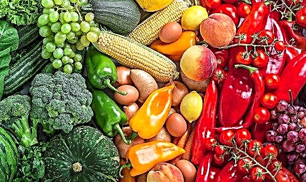 In de Russische supermarkten "thuis" zullen Kirgizische groenten en fruit verschijnen