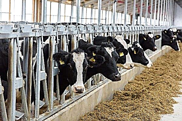 Recherche de nominations pour 2020 à la ferme laitière de l'année du Vermont