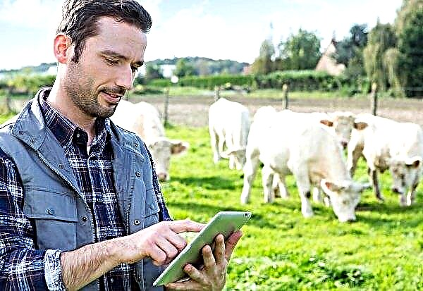 أطلقت تعاونية بريطانية رائدة خدمة تأمين جديدة لمزارعيها
