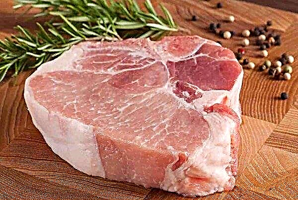 시카고 증권 거래소 : 마른 돼지 고기 선물 하락
