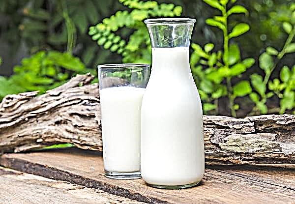 Balti piimamehed ühendavad jõud ühisesse ühistusse