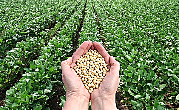 Brazilian soybean harvest surpasses all expectations