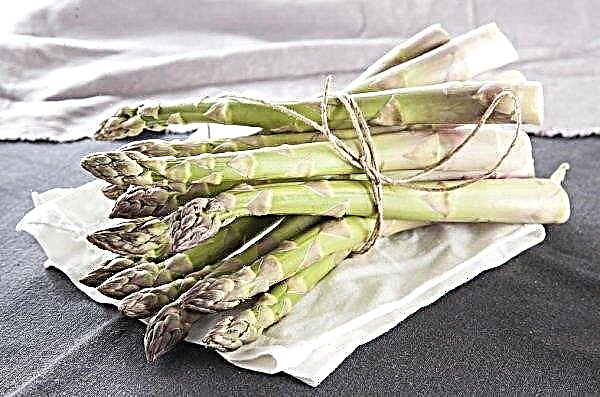 Petani Ukraina menanam lebih banyak asparagus