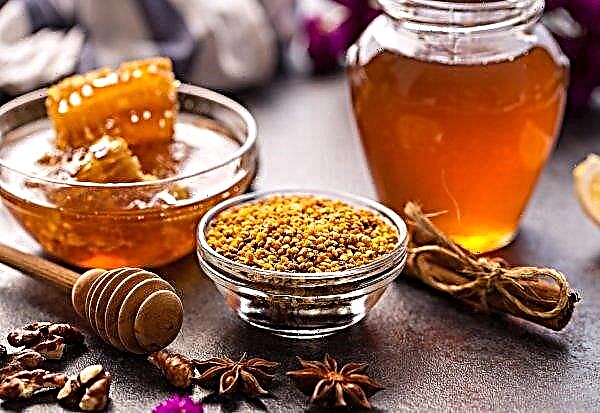 Khust beekeepers prepare honey, propolis and pollen treatments