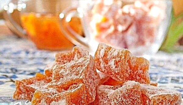 Candied fruit is cooked in the Zaporozhye region