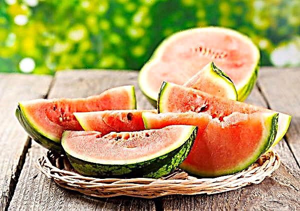 Russian melons and watermelons can be hazardous to health