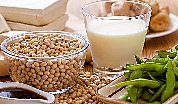 Soy, fish and vegetable oil strengthen trade relations between Russia and China