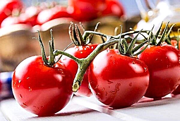 Los tomates en Ucrania no serán más baratos