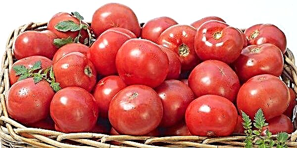 Crise de la tomate: les exportateurs ukrainiens tirent la sonnette d'alarme