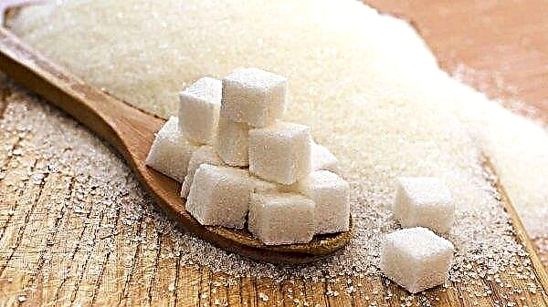 Suikerfabriek Gnidavsky bereidt zich voor op het suikerseizoen