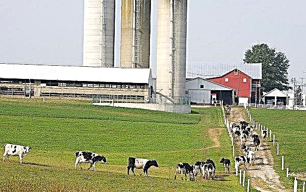 Didžiojoje Britanijoje Žemės ūkio ir sodininkystės plėtros taryba plečia „strateginį pieno ūkių tinklą“