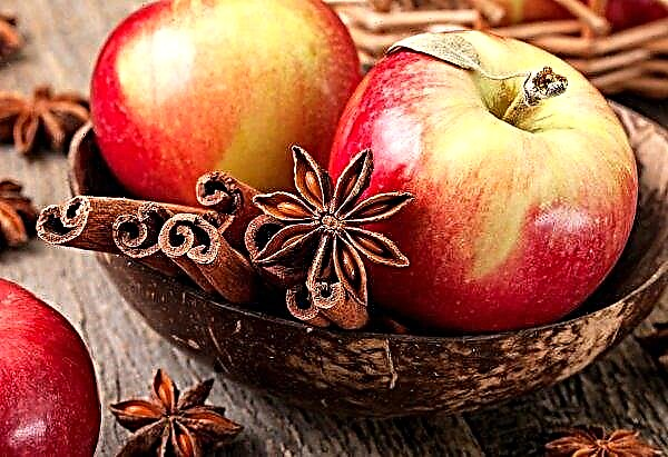 Руси су безобразно обрађивали јабуке из Белорусије