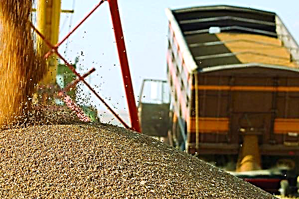 Η Ρωσία και η Ουκρανία θα περιορίσουν τις εξαγωγές σιτηρών λόγω εστιών κοροναϊού