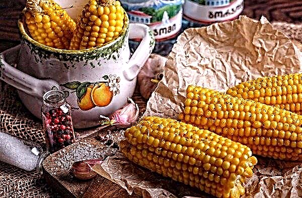 Zakład przetwórstwa kukurydzy powstanie w regionie Winnicy