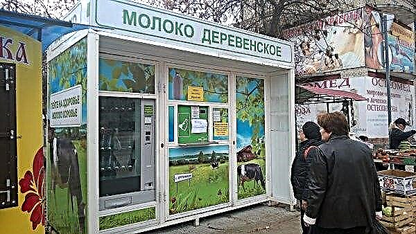 En la región de Moscú, más y más máquinas lecheras.