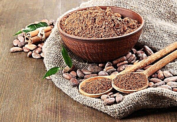 La Junta del Cacao de Ghana aumenta los pagos a los agricultores afectados