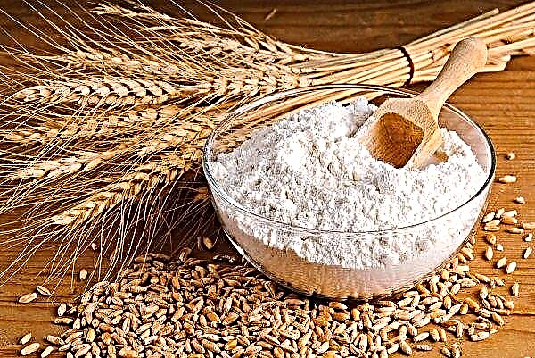 The study showed that white flour is now healthier than the last 200 years