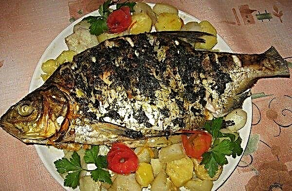 Bream in sour cream: how to cook in the oven and in a pan, a recipe for baked in foil with onions and in Moscow
