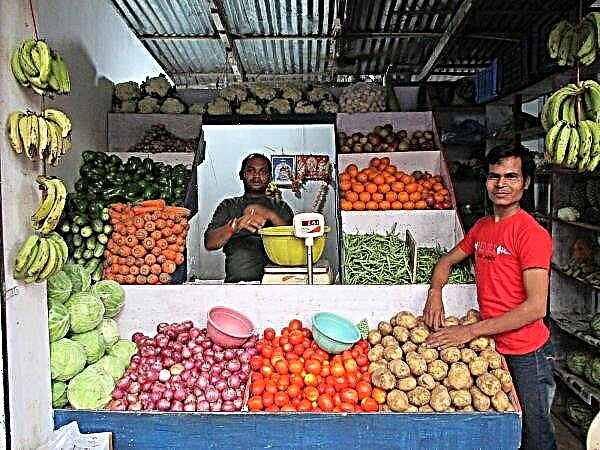 Haryana créera 200 ateliers de conditionnement de fruits et légumes