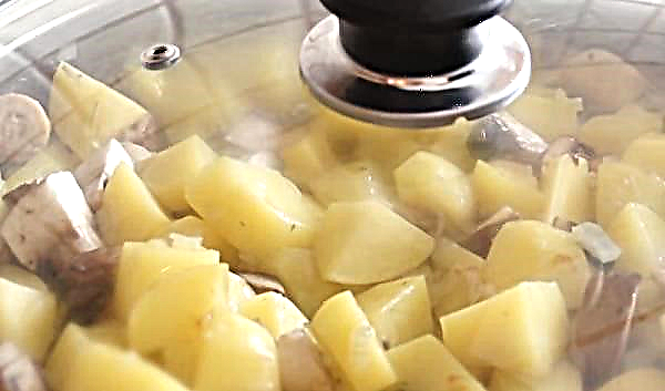 Pirjani krumpir sa šampinjonima, jednostavan korak po korak recept s fotografijama, kalorija u 100 grama