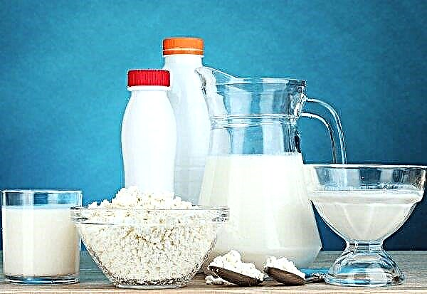 Russian milkmen establish production in China