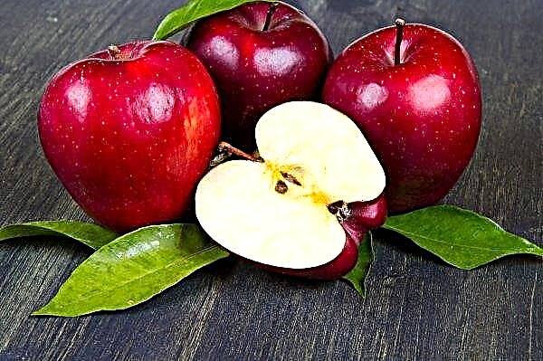 أوكرانيا مسجلة في صادرات التفاح