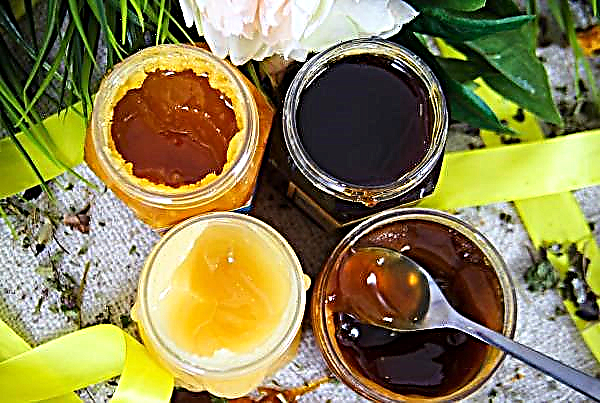 يبدأ شهر العسل اليوم في إيفانوفو