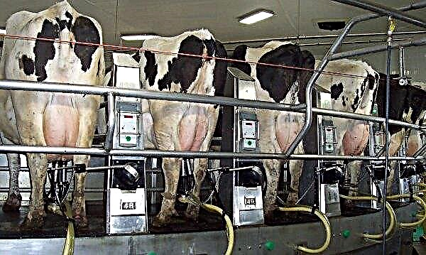 Zhytomyr farmers received more than 7 million hryvnias for acquired milking machines