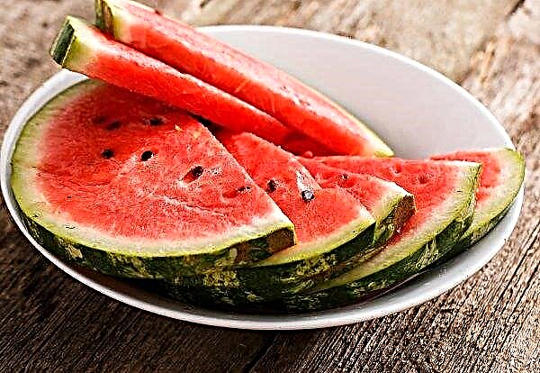 No festival em Golaya Pristan, eles procurarão "Kherson watermelon"
