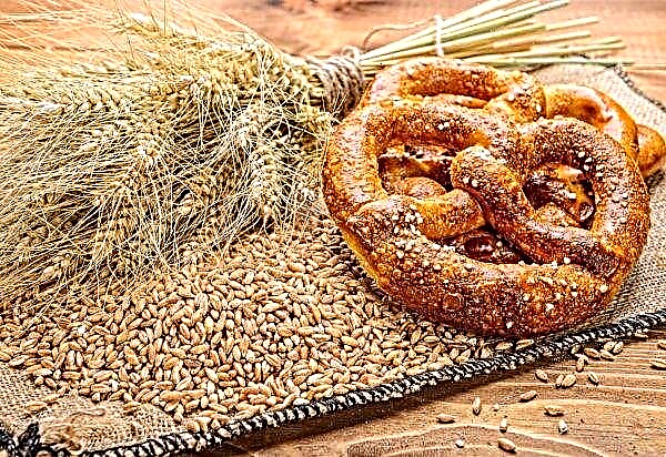 Indijska država Punjab povećala je upotrebu gnojiva za pšenicu za 4200 puta
