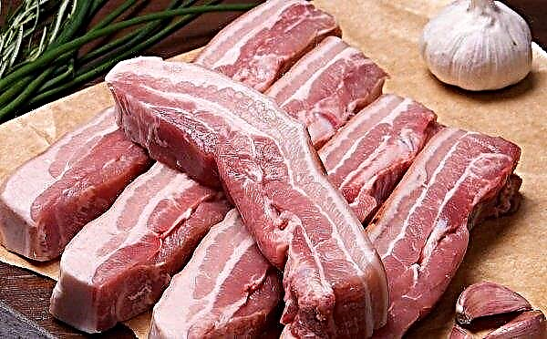 Despite increased production, Irish pork exports are slowing