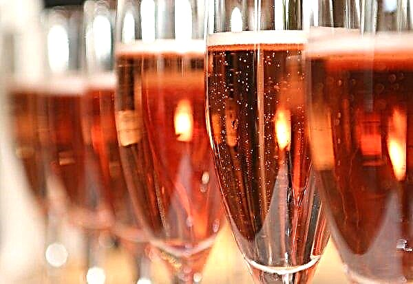 Winemakers recognized pink brut as the best champagne in Russia