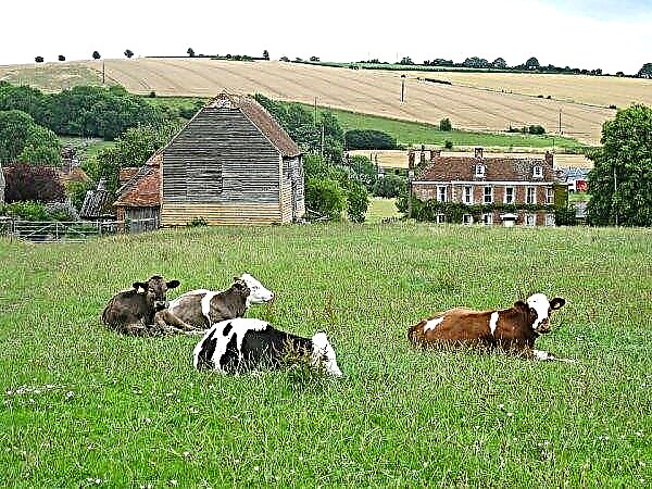 UK sweetens Brexit farmers with £ 3 billion