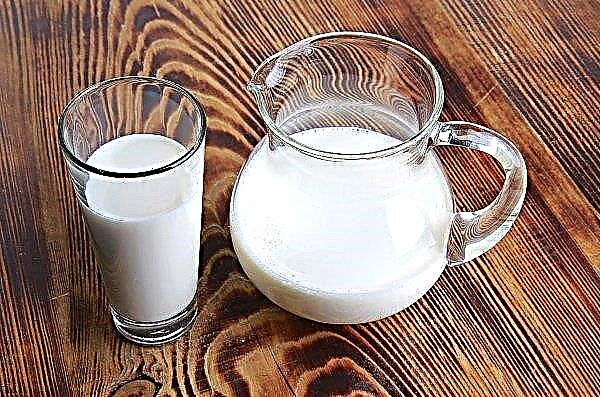Die Baschkirischen Melker stiegen im Jahresverlauf um mehr als 2,9 Tausend Tonnen