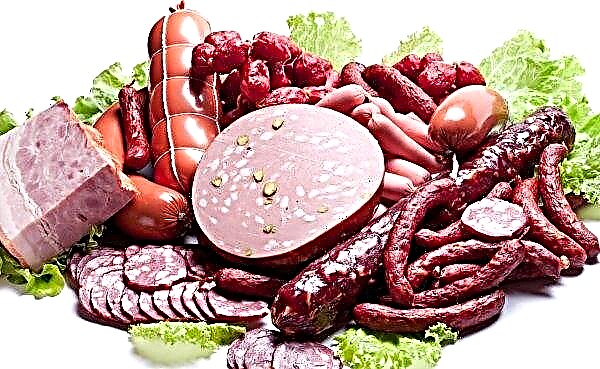 Conscious Voronezh residents prefer farm vegetables and "gray" sausage