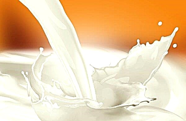 La leche falsa ocupa los mostradores rusos